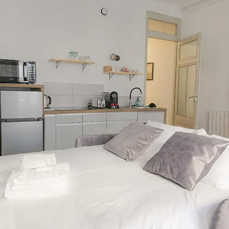 Appartement Caractere Et A Cordeliers Lyon